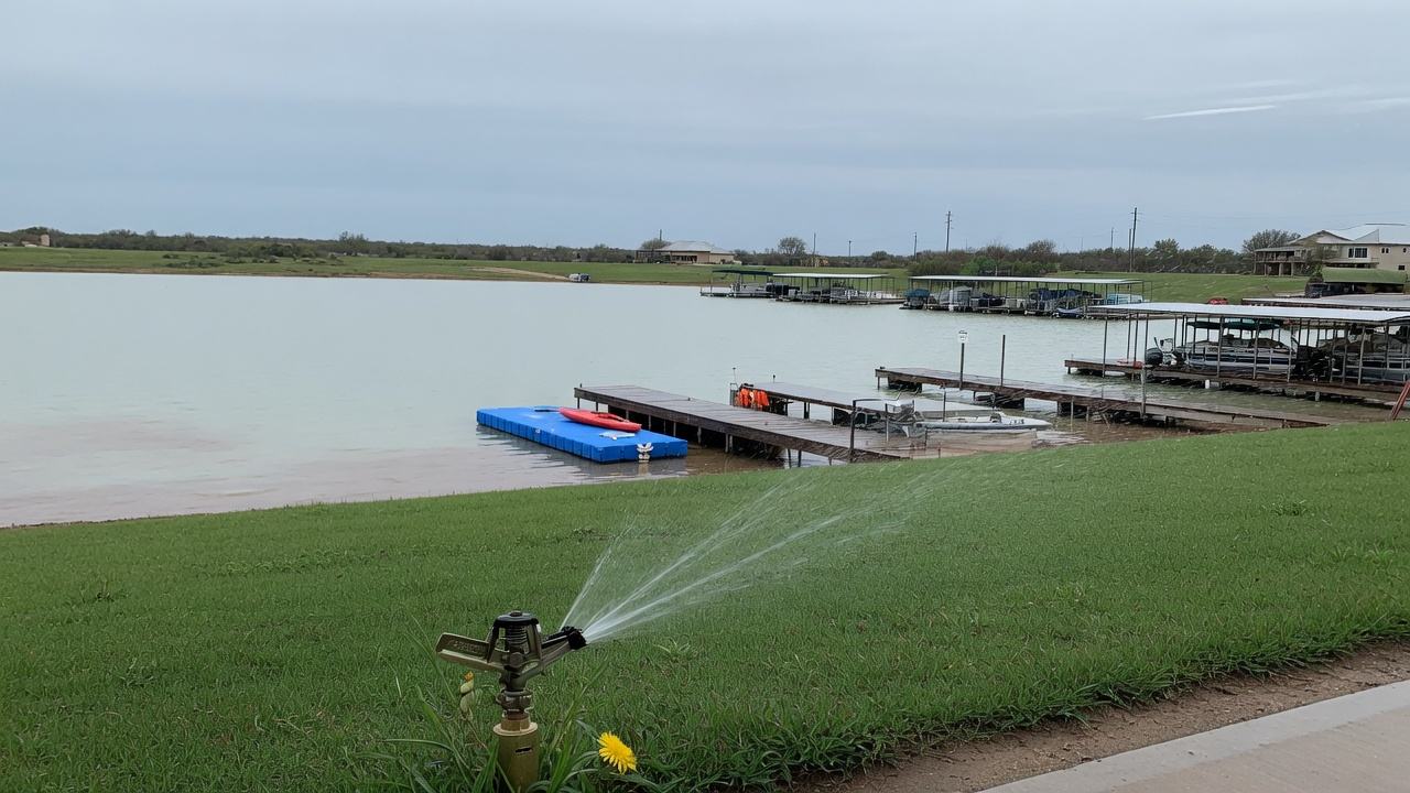 Lake Lewisville shoreline with a sprinkler head in the foreground lawn